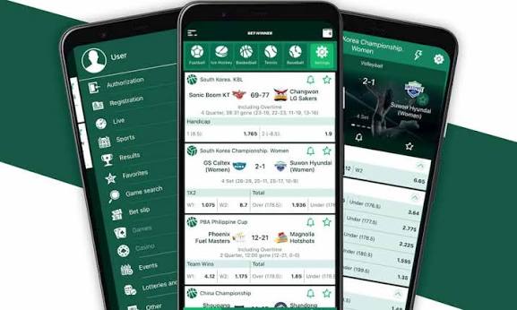 Betwinner mobile app